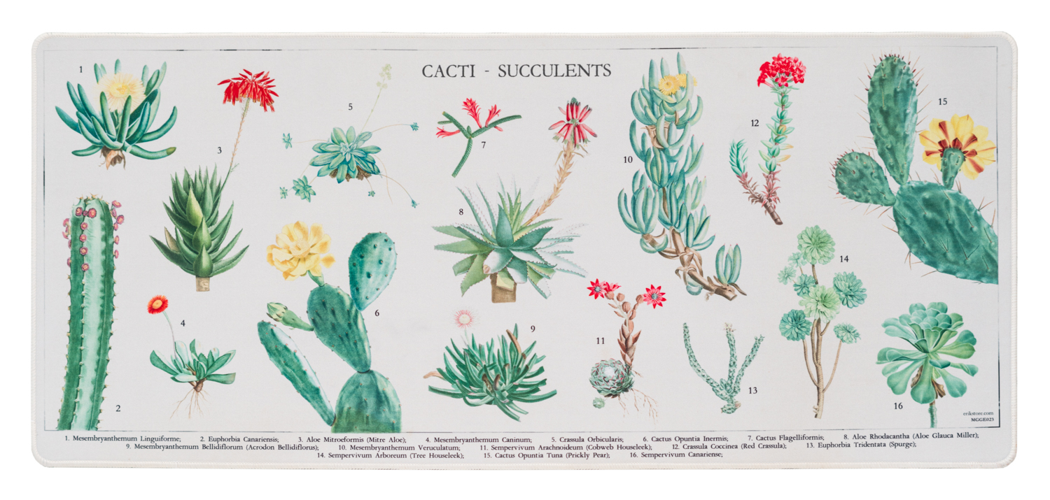 Подложка за мишка Erik - Botanical Cacti, XL, мека, многоцветна