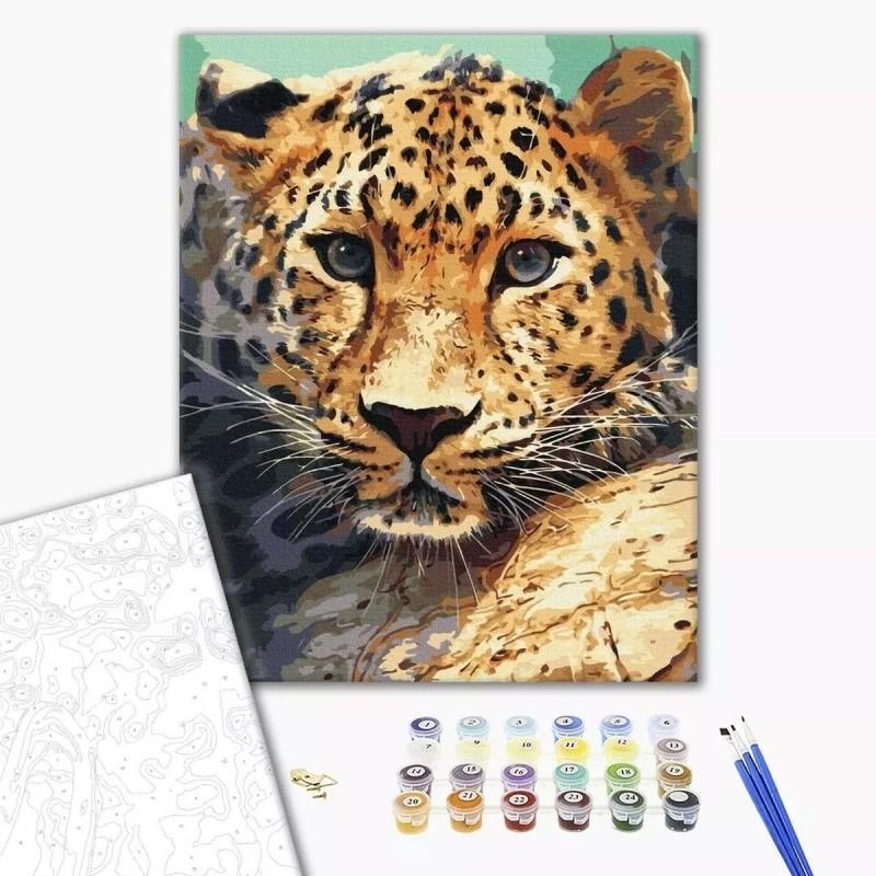 Рисуване по номера BrushMe, с подрамка, LEOPARD/Леопард, 40x50 см | JAR Computers Рисуване по номера BrushMe, с подрамка, LEOPARD/Леопард, 40x50 см
