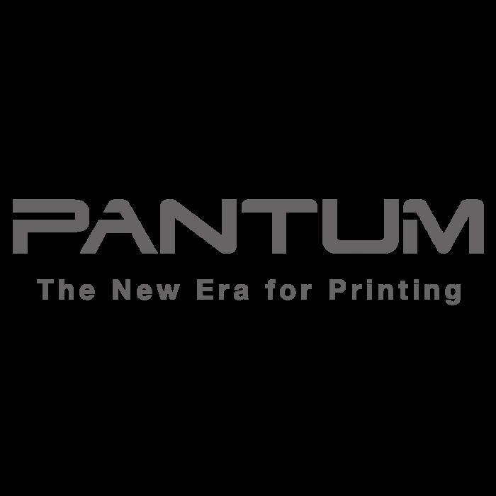 Data Board ЗА PANTUM P3010DW - PANTUM OEM SPARE PART - PN 069401