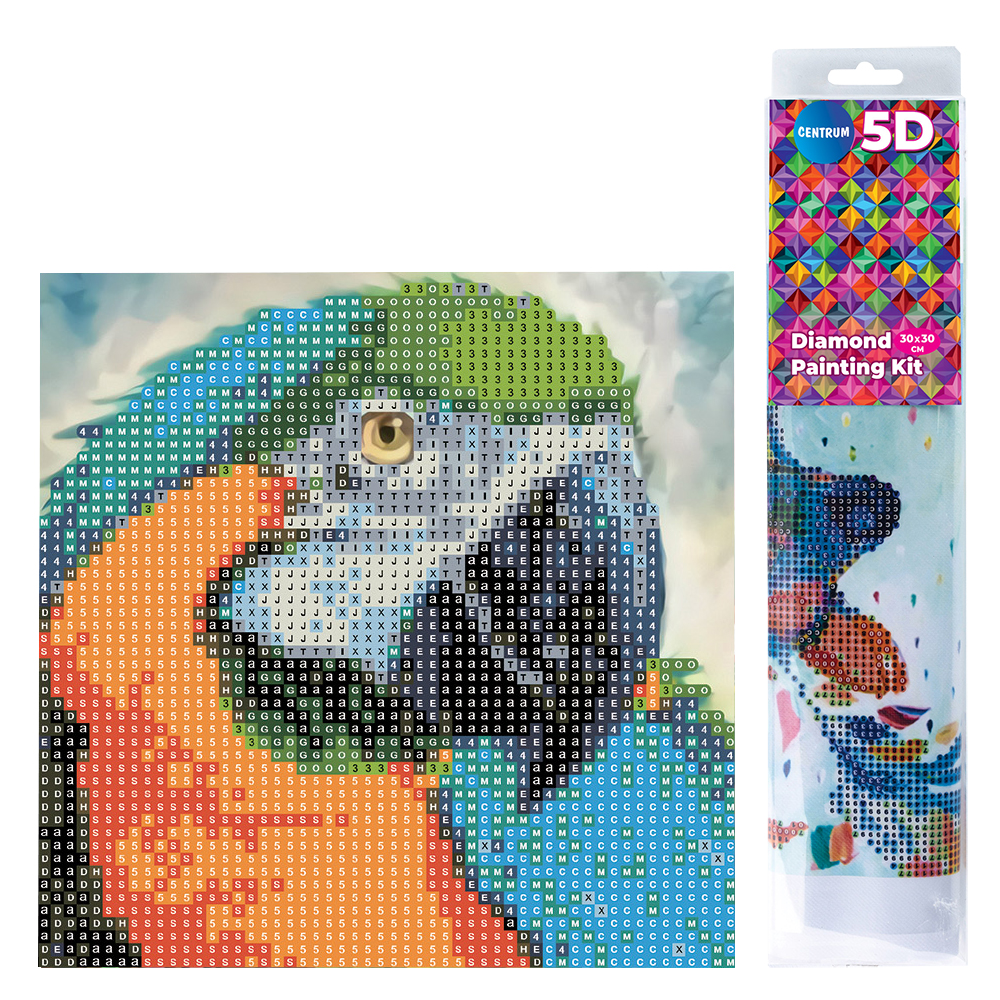 МОЗАЙКА CENTRUM 5D DIAMOND 89624 20/20СМ