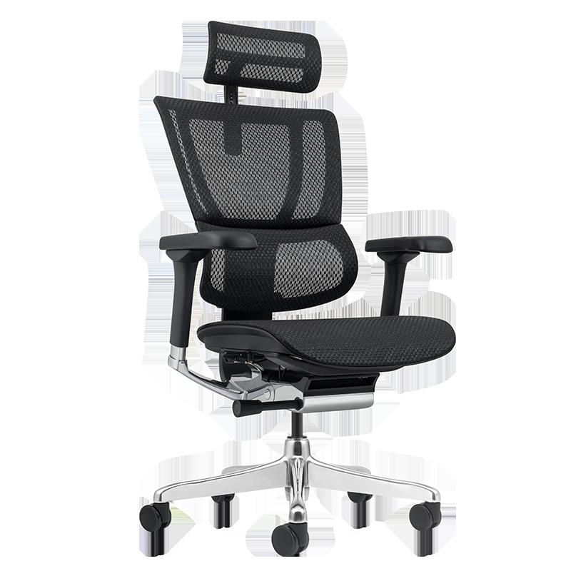 Ергономичен стол ERGOHUMAN ELITE 2 - черна рамка - черен