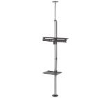 Neomounts Flat Screen Ceiling to Floor Mount (Height: 210-270 cm)