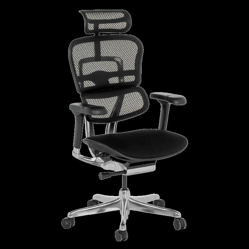 Ергономичен стол ERGOHUMAN ELITE 2 - черна рамка - черен