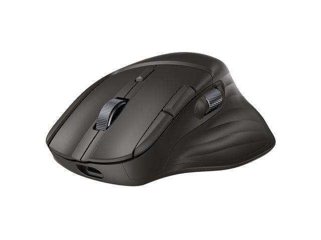 HP Ultra-Fast Scroll Wireless B Mouse 785M Rechargable