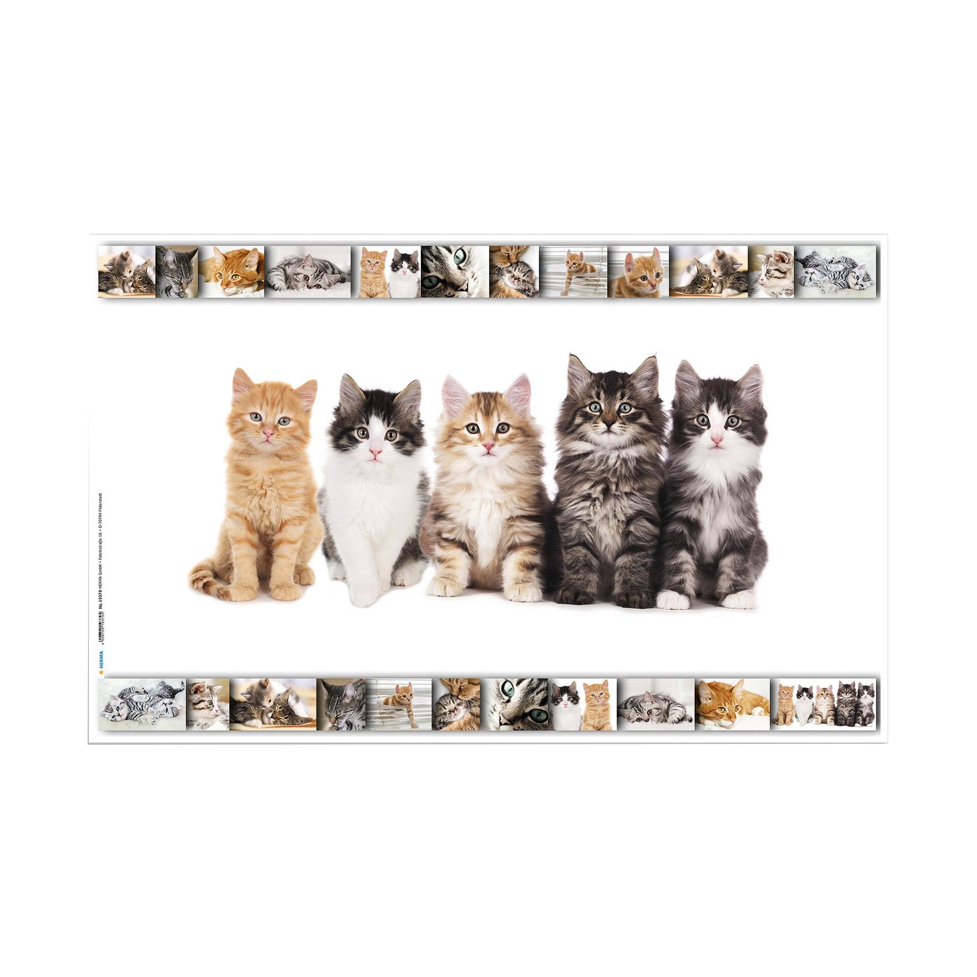 Herma Подложка за бюро, 55 x 35 cm, котки