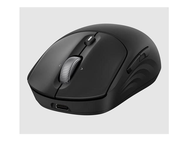 HP 705 Rechargeable Wireless Mouse